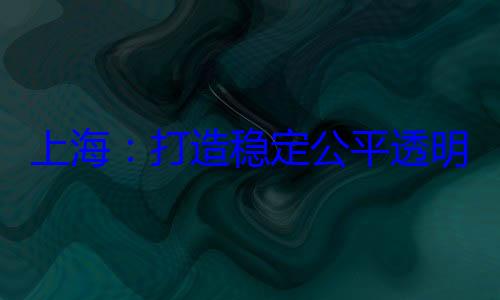 境明的营商环稳定公平透上海打造