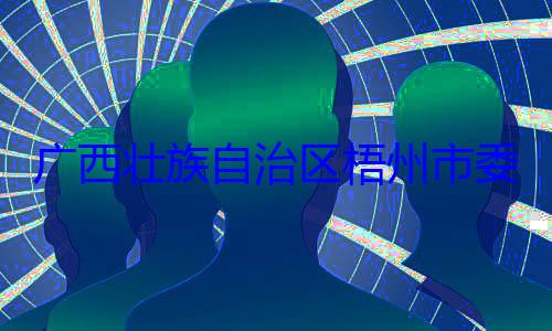 治区梧州市被查委副书记广西壮族自市长李振品